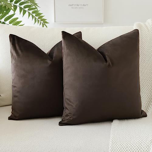JOTOM Samt Kissenbezug Kissenhülle Sofakissen Dekokissen Kissenbezüge für Sofa Wohnzimmer Schlafzimmer 2er Set 60x60 cm Schokoladenbraun
