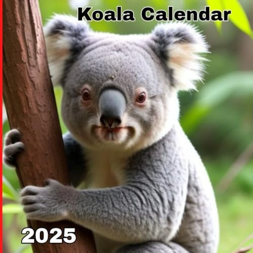 Koala Calendar 2025