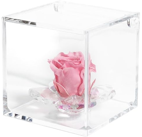 Debora Carlucci Rosa Stabilizzata Vera Eterna con 4 Petali in Cubo 8x8 cm Idea Regalo Festa della Mamma Donna Bomboniera Compleanno Anniversario Matrimonio Blu Bianco Rosa Rossa (Rosa)