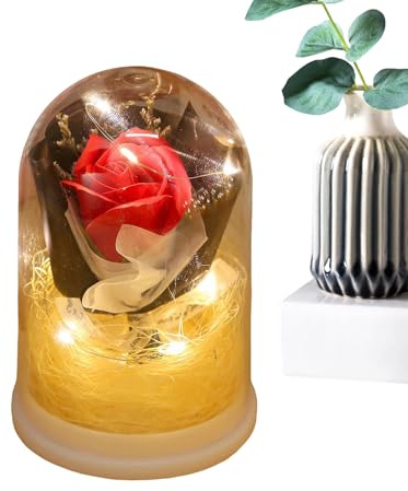 Qiaonan Conservato | Bouquet di rose con luce in campana di vetro,Fiori durevoli con luce,Per mamme donne sorelle figlie mogli San Valentino compleanno Natale