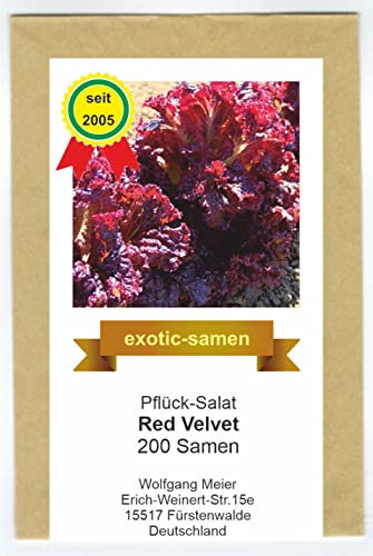 Pflück-Salat – kräftig rot - Red Velvet - 200 Samen