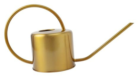 BESTonZON Arrosoir à Bec Long Acier Inoxydable pour Jardin Intérieur Et Extérieur Design Ergonomique Antidéversement pour Plantes Et Légumes