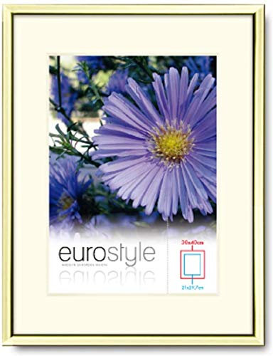 Mein Landhaus Bilderrahmen Alu Gold Kupfer Rose Alurahmen DIN A4 10x15 13x18 20x30 modern (Gold, 30x40cm)