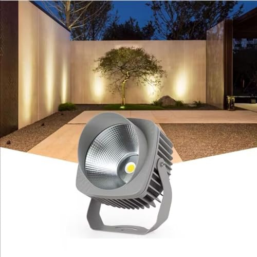Projecteur De Sol Lumières - Spot À Faisceau LED Exterieur, Lumières De Projecteur De Mur Extérieur De Bâtiment Extérieur 220v, Projecteur D'éclairage À Distance Pour L'éclairage Extérieur ( Color : W