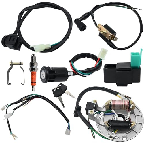 Hoypeyfiy Complete Electric Wiring Harness Loom Set Ignition Coil Engine Kit with Spark Plug CDI Box for 49cc 50cc 80cc 90cc 100cc 110cc 125cc ATV Quad Dirt Bike