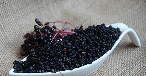Krauterino24 - Holunderbeeren ganz, Menge:50g