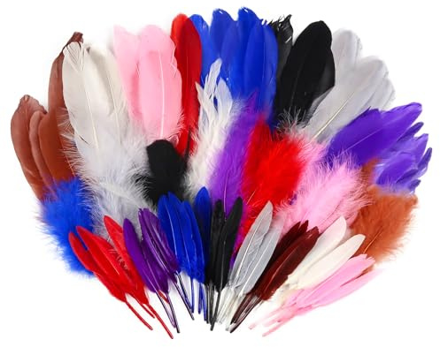 TOAOB 480 Stück 6 Stile Bunte Indianer Federn Natur zum Basteln Gänsefedern für Handwerk Dekoration DIY Crafts Feather