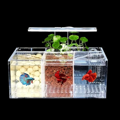 UPWONEC HD -Acryl -Betta -Fischtank, Büro -Top -Bio -Glasaquarium, Moderne Transparente Aquaponik -Fischtank, LED -Licht Und Filtersystem, Rechteckige Goldfischschale,3 Rooms