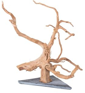 AWXZOM Natural Large Spider Wood Driftwood for Aquarium, Terrarium, Vivarium, and Reptile, Aquarium Décor, Reptile Tank, Aquarium décor Wood Aquascaping Wood for Reptile Enclosure (9-14inch)