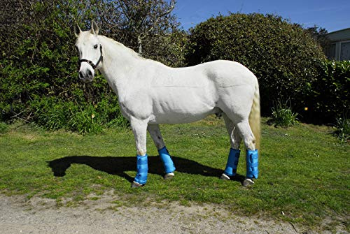 Rhinegold 0 Elite Half Length Travel Boots-Turquoise Reisestiefel, türkis, Volle Größe