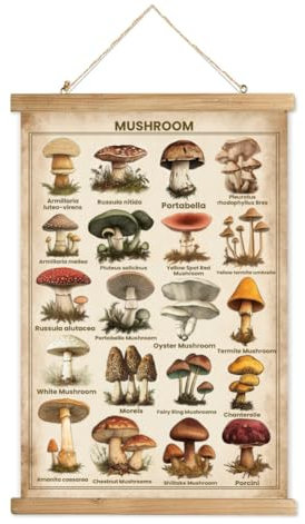 WEBEEDY 40x58 cm Classic Botanical Scroll Poster with Wooden Frame - Vintage Mushroom Wall Art Featuring Various Fungal Species for Home Decor