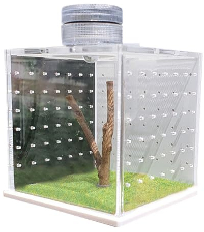 Jumping Spider Terrarium - Klar avelslåda, med lätt luftfuktare för små bönsyrsor och trädboende reptiler | 100g ABS Habitat-bur för grodor Tarantulas Insekter Vackert