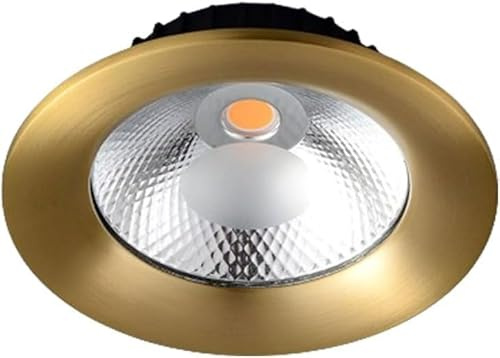 BFFGKGL Luz de techo LED redonda de 12 W para pasillo, panel de latón cepillado, luz empotrada para interiores, dormitorio, techo, luz de acento, regulable, cocina, foco de techo direccional para baño
