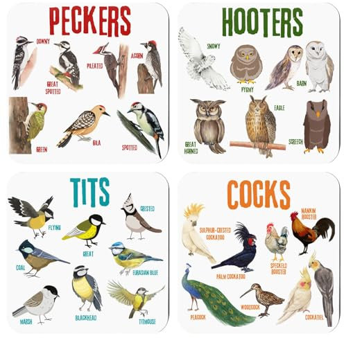 cfpqv Placemats with Wordplay, Funny Placemat Set, Square Placemats, Funny Placemats for Drinks, Premium Design Placemats, Home Decoration, Gift Idea Mesh (Black, One Size)