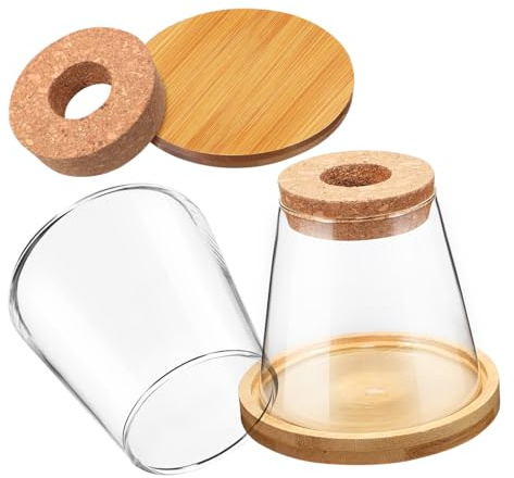 iplusmile 2 pièces Lot de Vases Verre pour Propagation Hydroponique avec Support Bois Stations de Bouturage Transparentes pour Plantes Intérieur Pots Terrarium Élégants et Décoratifs