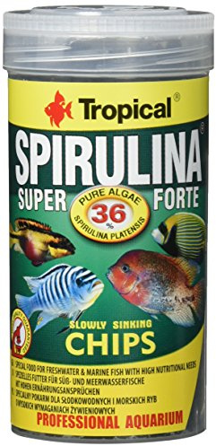 Tropical Super Spirulina Forte Chips mit 36% Spirulina (Platensis) Anteil, 1er Pack (1 x 250 ml)
