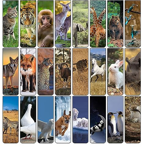 24 Stück lesezeichen magnetisch，lesezeichen kinder，bookmark,mitgebsel kindergeburtstag，kleinigkeiten für die schultüte,Abschiedsgeschenk Schüler Lehrer Zubehör Lesehilfe Kinder,einschulung geschenk