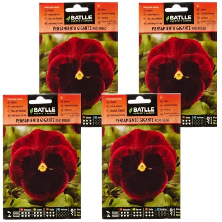 Pack 4 Semillas de pensamiento gigante rojo fuego de Semillas Batlle PACK (4)