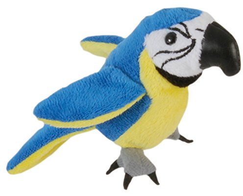 The Puppet Company Ara Fingerpuppe, Blau und Gold