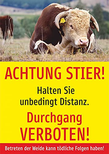 Schild: Achtung Stier! Durchgang verboten! - A2, 420x594mm | Aluverbundplatte
