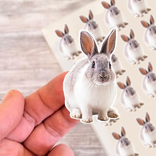 Personalised Photo Stickers, Custom Image Decals for Laptops, Phones, Journals - Perfect for Pet Photos, Human Portraits, Creative Gift Idea