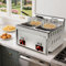 Freidora de gas profesional, 20 L, doble tanque, freidora de acero inoxidable de gran capacidad, freidora de gas con cesta para patatas fritas para restaurante, cocina casera, snack bar