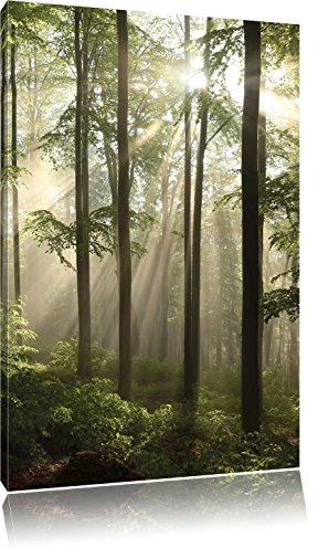Pixxprint Sonnenstrahlen im Wald, Größe: 100x70cm, Leinwandbild, fertig gespannt, Wandbild, Dekoration, Kunstdruck, kein Poster