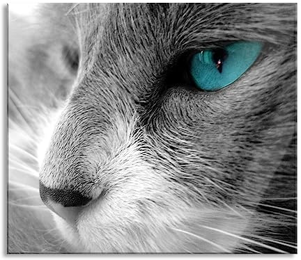 Katze mit Augen Herdabdeckplatte & Spritzschutz aus Echtglas | Für Herd-Kochfelder | 60x52 cm