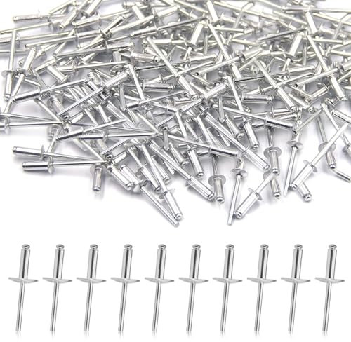 100 Stück Aluminium Blindnieten Set, Popnieten Set 4,8mm x 20mm mit Großem Flansch Blindnieten 4,8 für die Bauindustrie und Verbindungselemente