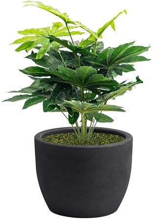NICOLI - Maceta de resina giratoria para interior y exterior, cubremacetas, diámetro de 30 – 40 – 50 – 60 cm (40 cm con Aralia 70 cm, antracita)