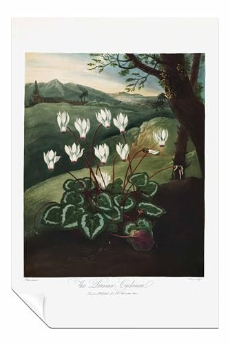 Panther Print Poster mit persischem Alpenveilchen, ungerahmt, Bilder für Wände, Schlafzimmer, Wohnzimmer und Badezimmer, 31 x 20 cm