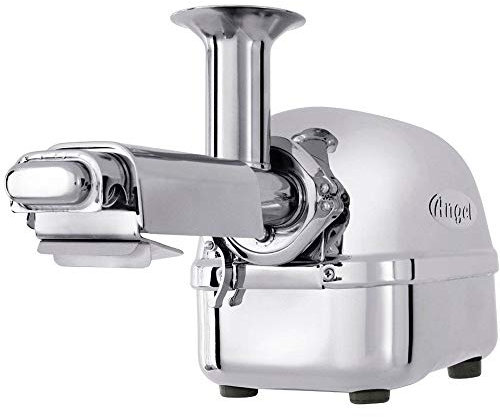 Angel Juicer 5500 - Estrattore di succo per frutta e verdura, 100% acciaio inox