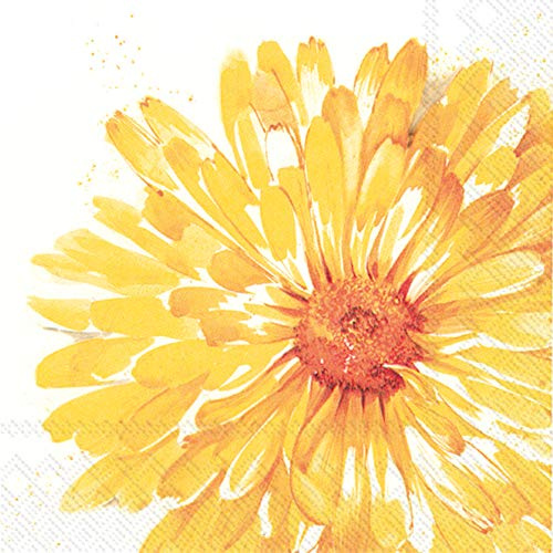 Boston International IHR Papierservietten, 3-lagig, 16,5 x 16,5 cm, Rica
