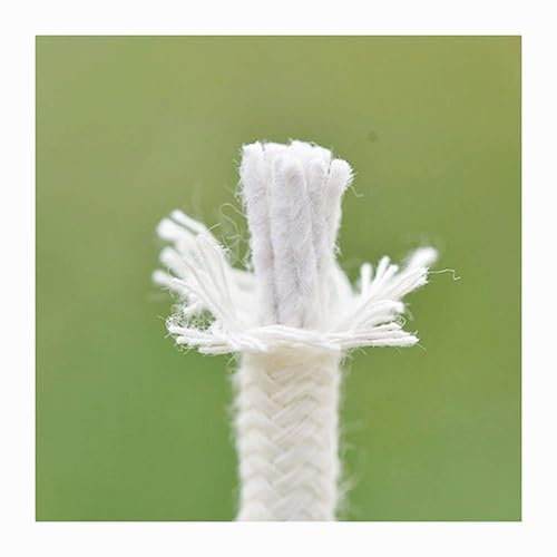 Corda for irrigazione con cavo stoppino autoirrigante, for sistema di dispositivi di irrigazione automatica fai-da-te Sistema di piante in vaso Irrigatore automatico for irrigazione a goccia(Length 5m