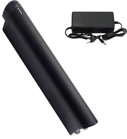 Batteria Ebike 36V 18Ah di ricambio per Zündapp Z808 Reention EEL Pro batterie per 36V e-bike pedelec batteria con caricabatterie (36V 18Ah)