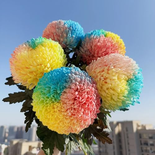 semillas de crisantemo resistentes - variedades antiguas, decorativas para jardín y balcón 1200pcs