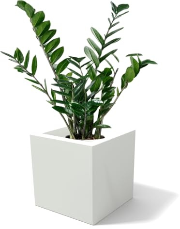 Kloris Fioriera quadrata moderna con drenaggio mod. OASI cm 30x30 h 30 Bianco polietilene Made in Italy