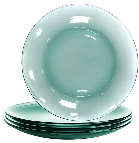 STP GOODS Glass Plates Set of 4 – Borosilicate Salad & Dessert Plates, Transparent Glass Appetizer Plates, Microwave & Dishwasher Safe Tableware