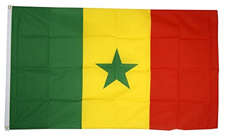 Digni Drapeau Sénégal 90 x 150 cm avec autocollant – drapeau de supporter avec 2 œillets métalliques