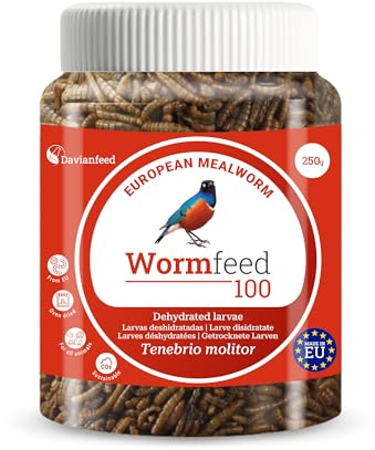 Wormfeed 100 - Vermi farina Premium 250 g - Larva di Tenebrio per Uccelli, Rettili, Roditori, Pesci - Ricco di Proteine con Omega 3 e 6 - Allevato in Europa - Davianfeed