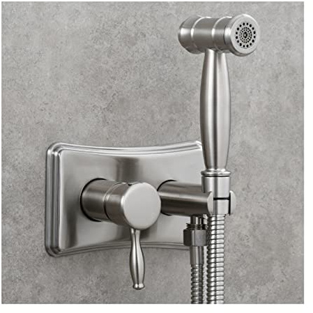 TTDGYYXW Bidet Sprayer for Toilet, Hot And Cold Water Bidet Sprayer Wall Mounted Baby Cloth Diaper Sprayer Brass Handheld Bidet Sprayer for Personal Hygiene,Brushed