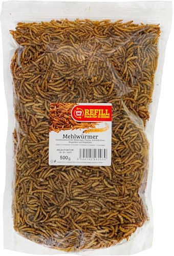 UGF - Premium Mehlwürmer getrocknet 500g, Vogelfutter Wildvögel Ganzjährig, Igelfutter, Eichhörnchen Futter, Hamster Futter