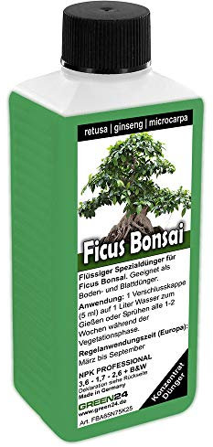 Ficus Ginseng retusa microcarpa Bonsai Dünger, Chinesische Feige, flüssig düngen
