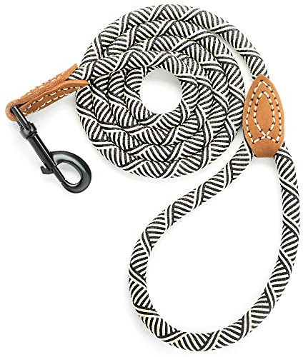 Mile High Life | Laisse pour Chien d'escalade avec Fermoir Robuste en métal Robuste | Connexion sur Mesure en Cuir véritable avec Coutures Solides (Blanc, 1.5 M)
