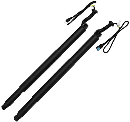 QUARKZMAN Hinten Links Rechts Heckklappen-Unterstützung für BMW X6 F16 F86 2014-2019 Heckklappen-Stoßdämpfer No.51247434043 1 Paar.
