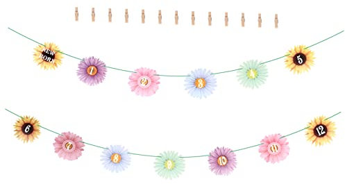 ibasenice 1satz Geburtstagsfeier Foto Banner Sonnenblumen Wimpel Für Babyfotos Dekoration Für Ersten Geburtstag Langlebige Verarbeitung Schafft Unvergessliche Erinnerungen