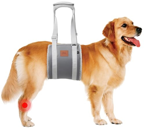 Aide au transport pour chien