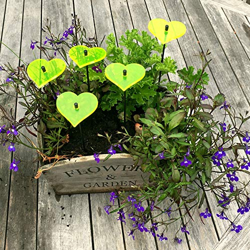 SunCatcher Garden Decor Sonnenfänger Set aus 5 kleinen leuchtenden Herzen Garten Dekoration für Garten, Balkon, Terrasse, Liebe, Hochzeit, Farbe:gelb