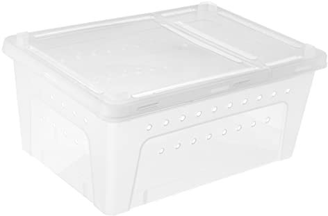 BESPORTBLE Schlangen Futterbox Plastik Reptilienbox Kunststoff Reptilienkoffer Koffer Fuer Reptilien Fuer Spinnen Skorpione Geckos Schildkroeten Transparent