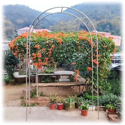 Arche de jardin en acier inoxydable pour plantes grimpantes - Résistante aux intempéries - Treillis métallique pour décoration extérieure - Noir - 120 x 230 cm - Parfait pour pelouse et terrasse